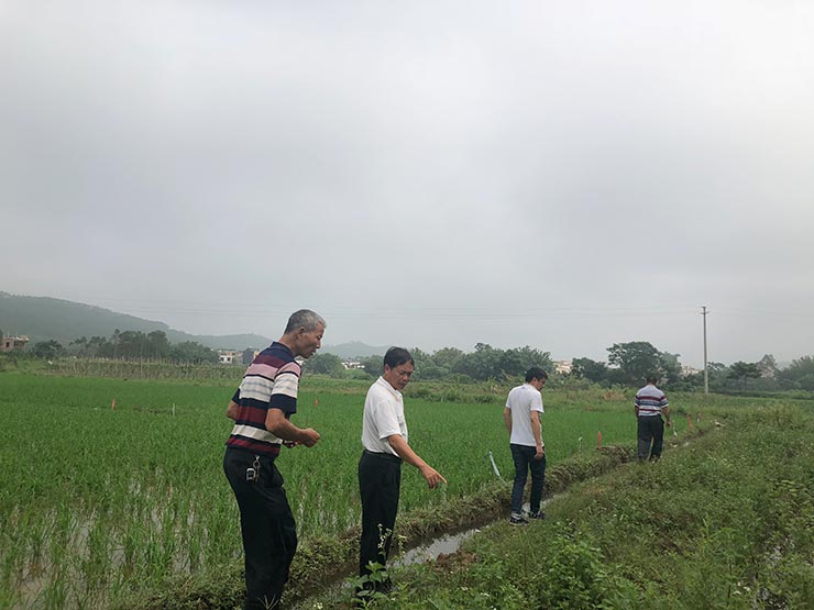 ��ҳ| CA88�����й�Ψһ�ٷ���վ