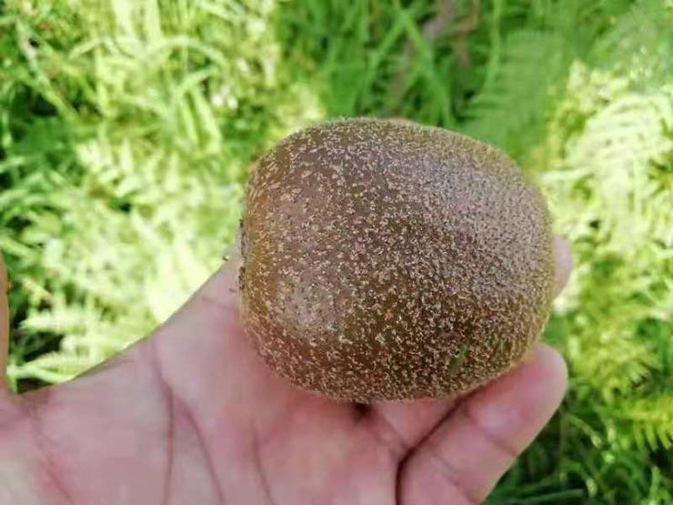 ��ҳ| CA88�����й�Ψһ�ٷ���վ