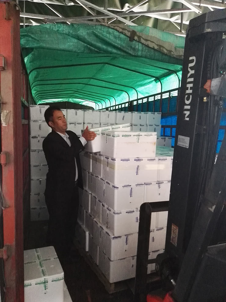 ��ҳ| CA88�����й�Ψһ�ٷ���վ