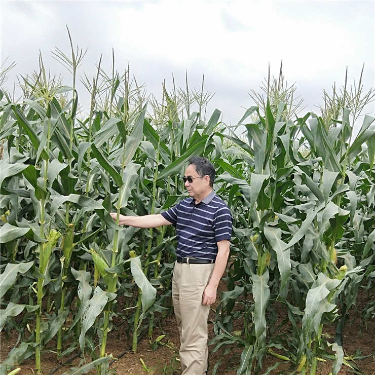 ��ҳ| CA88�����й�Ψһ�ٷ���վ