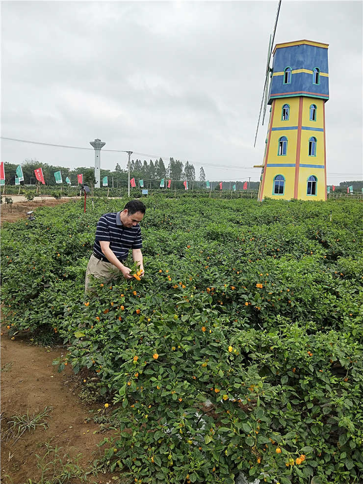 ��ҳ| CA88�����й�Ψһ�ٷ���վ