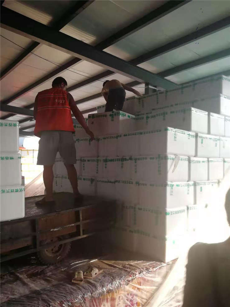 ��ҳ| CA88�����й�Ψһ�ٷ���վ