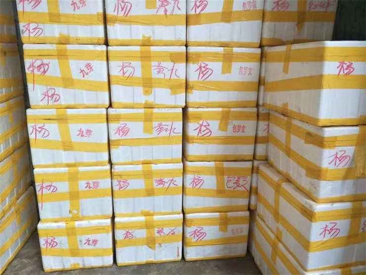 ��ҳ| CA88�����й�Ψһ�ٷ���վ