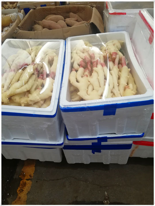 ��ҳ| CA88�����й�Ψһ�ٷ���վ