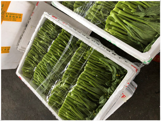 ��ҳ| CA88�����й�Ψһ�ٷ���վ