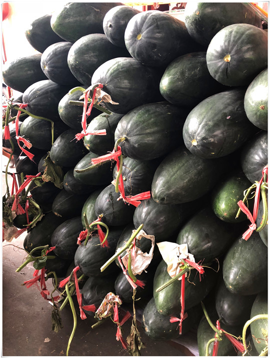 ��ҳ| CA88�����й�Ψһ�ٷ���վ