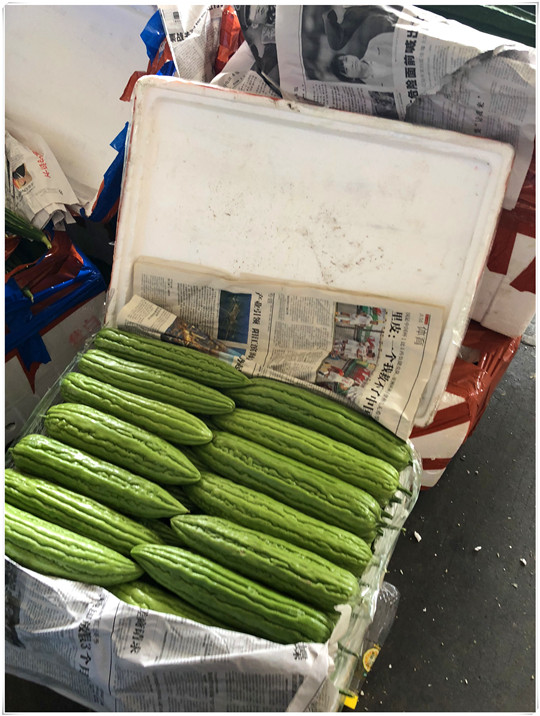 ��ҳ| CA88�����й�Ψһ�ٷ���վ