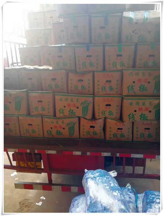 ��ҳ| CA88�����й�Ψһ�ٷ���վ