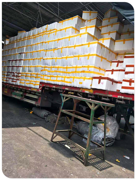 ��ҳ| CA88�����й�Ψһ�ٷ���վ