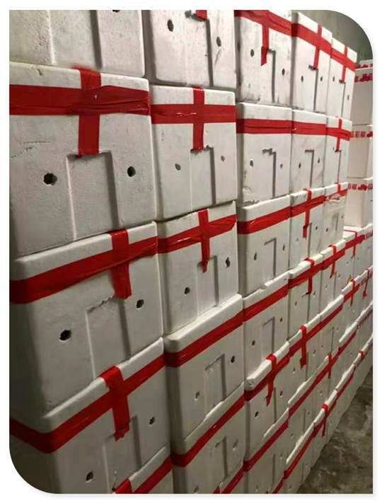 ��ҳ| CA88�����й�Ψһ�ٷ���վ