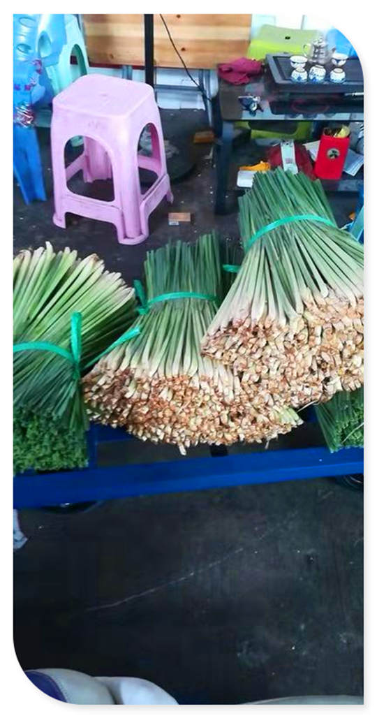 ��ҳ| CA88�����й�Ψһ�ٷ���վ