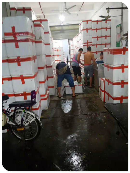 ��ҳ| CA88�����й�Ψһ�ٷ���վ