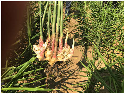 ��ҳ| CA88�����й�Ψһ�ٷ���վ