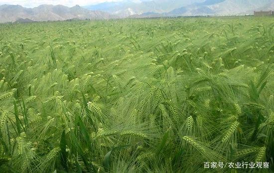 ��ҳ| CA88�����й�Ψһ�ٷ���վ