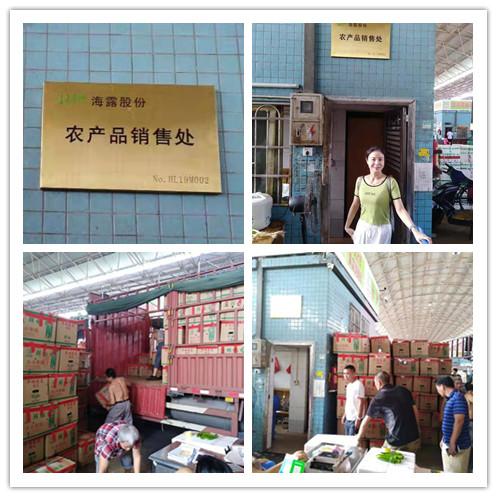 ��ҳ| CA88�����й�Ψһ�ٷ���վ