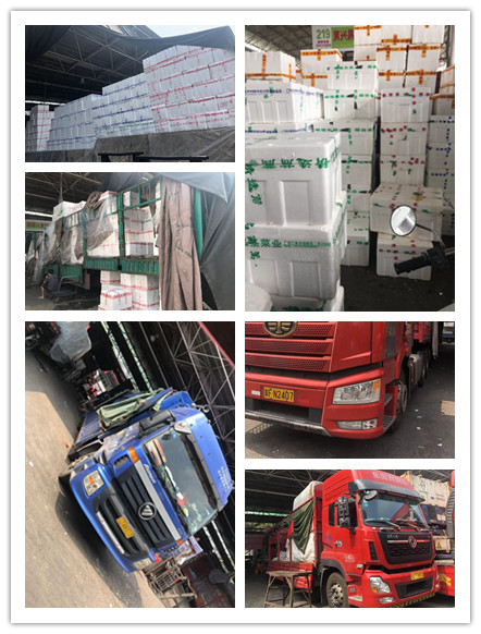 ��ҳ| CA88�����й�Ψһ�ٷ���վ