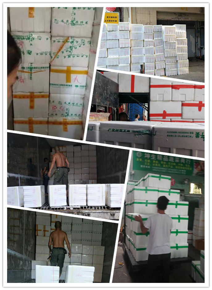 ��ҳ| CA88�����й�Ψһ�ٷ���վ