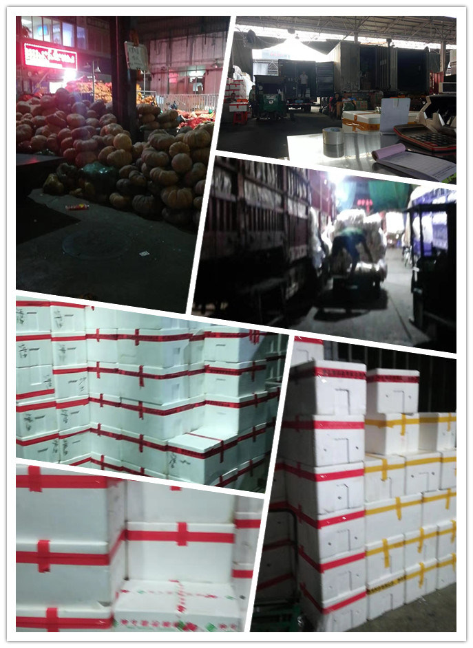 ��ҳ| CA88�����й�Ψһ�ٷ���վ