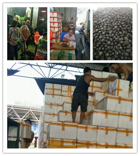 ��ҳ| CA88�����й�Ψһ�ٷ���վ