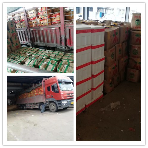 ��ҳ| CA88�����й�Ψһ�ٷ���վ