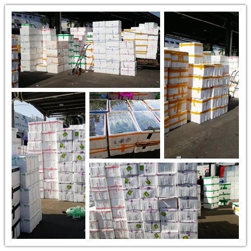 ��ҳ| CA88�����й�Ψһ�ٷ���վ