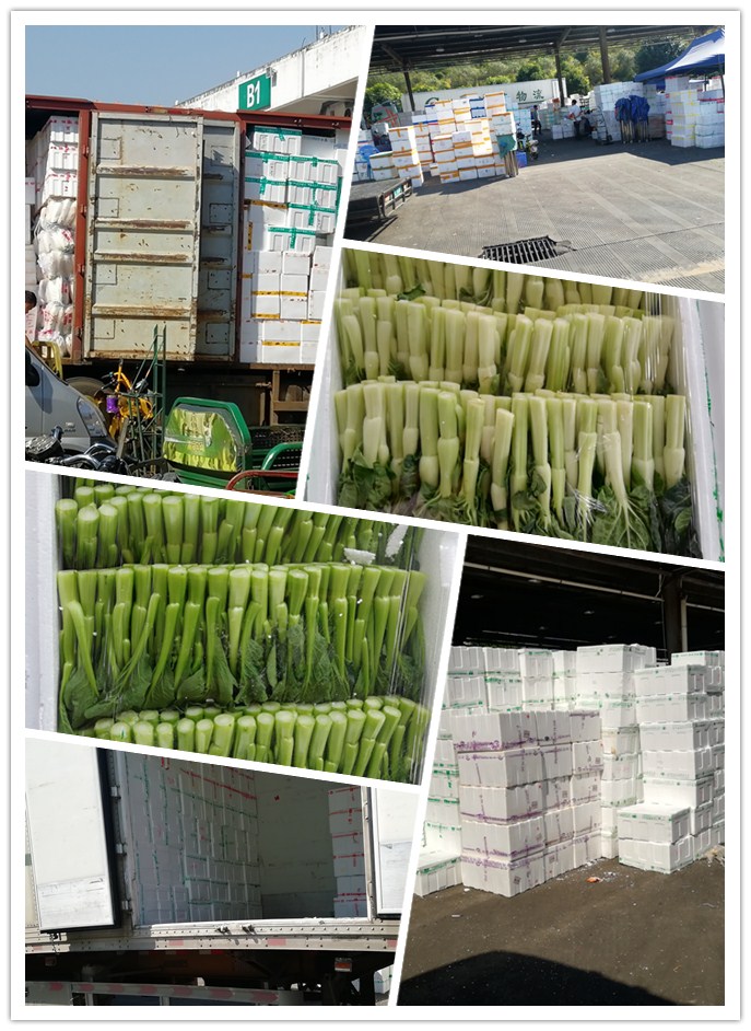 ��ҳ| CA88�����й�Ψһ�ٷ���վ