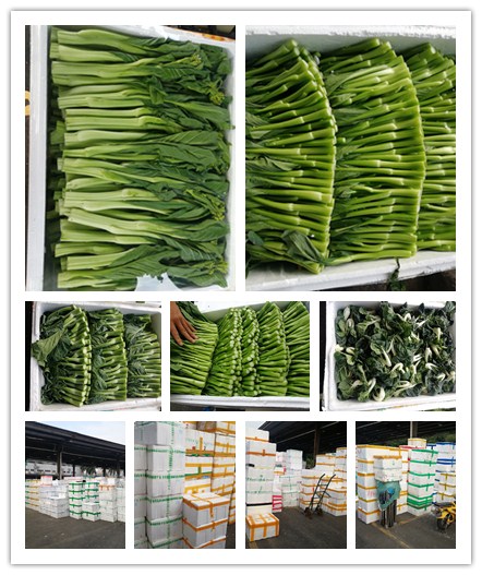 ��ҳ| CA88�����й�Ψһ�ٷ���վ