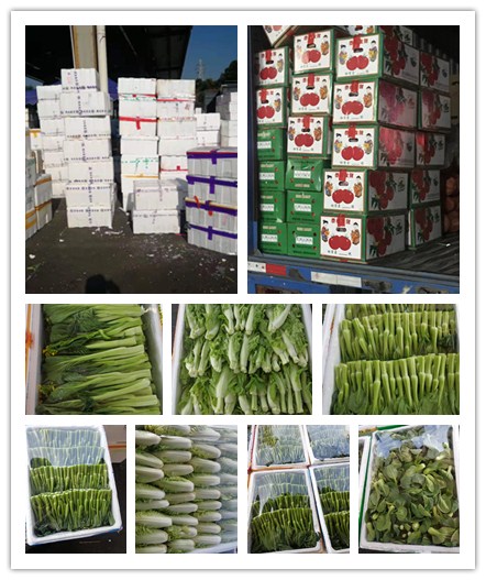 ��ҳ| CA88�����й�Ψһ�ٷ���վ