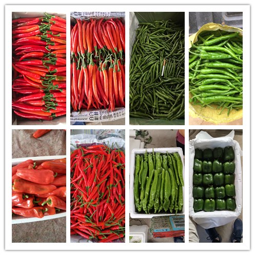 ��ҳ| CA88�����й�Ψһ�ٷ���վ