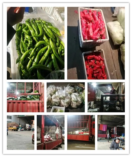 ��ҳ| CA88�����й�Ψһ�ٷ���վ