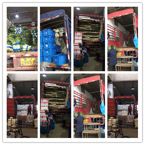 ��ҳ| CA88�����й�Ψһ�ٷ���վ