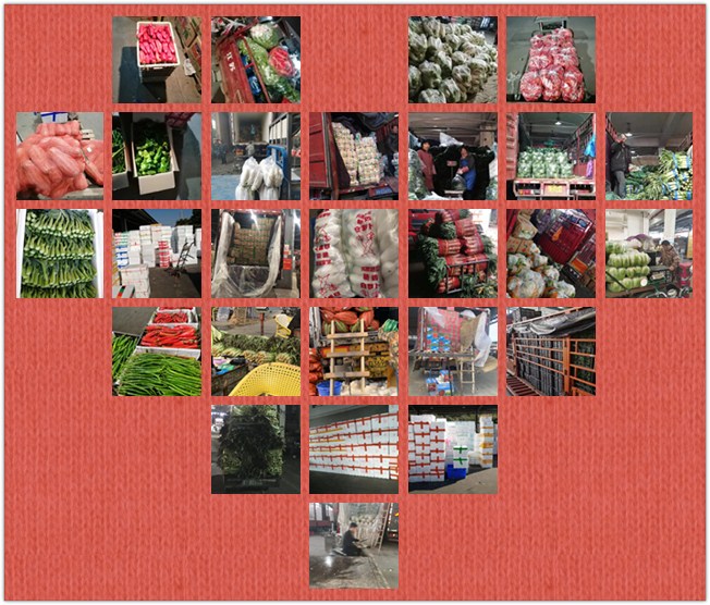 ��ҳ| CA88�����й�Ψһ�ٷ���վ