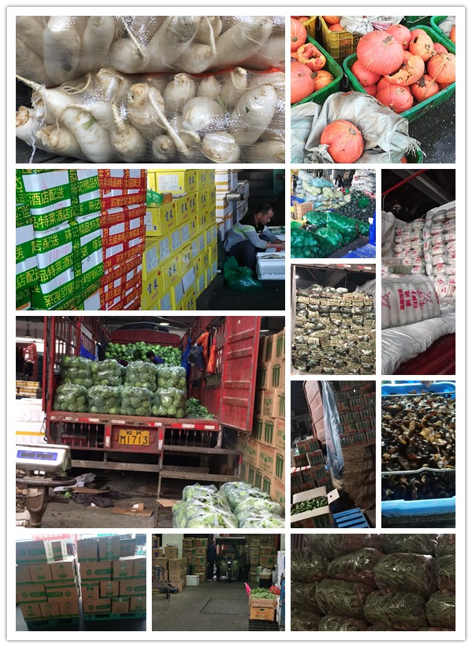 ��ҳ| CA88�����й�Ψһ�ٷ���վ