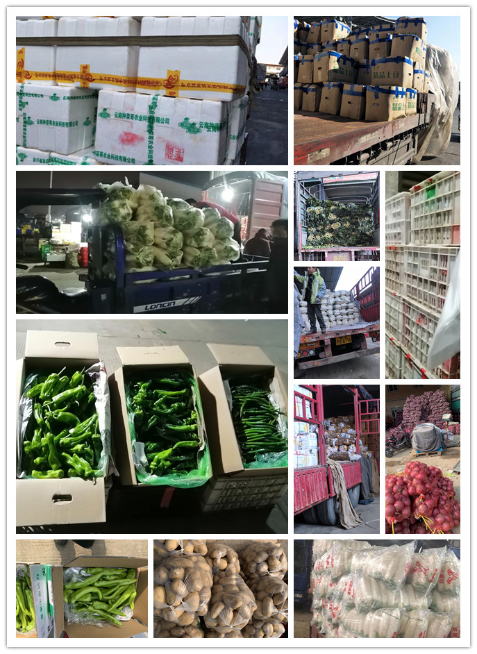 ��ҳ| CA88�����й�Ψһ�ٷ���վ