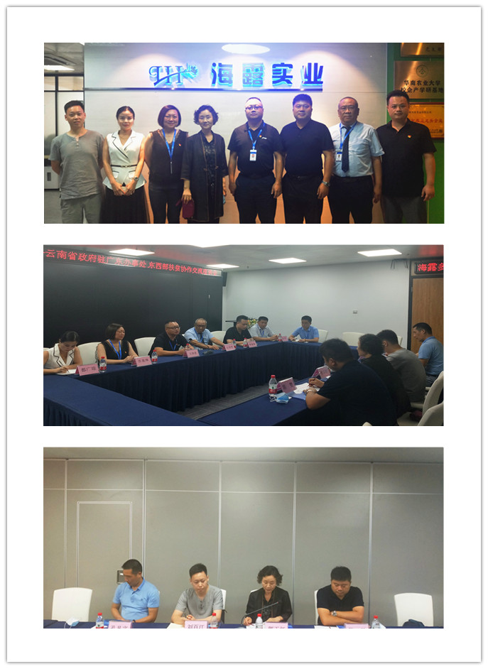 ��ҳ| CA88�����й�Ψһ�ٷ���վ