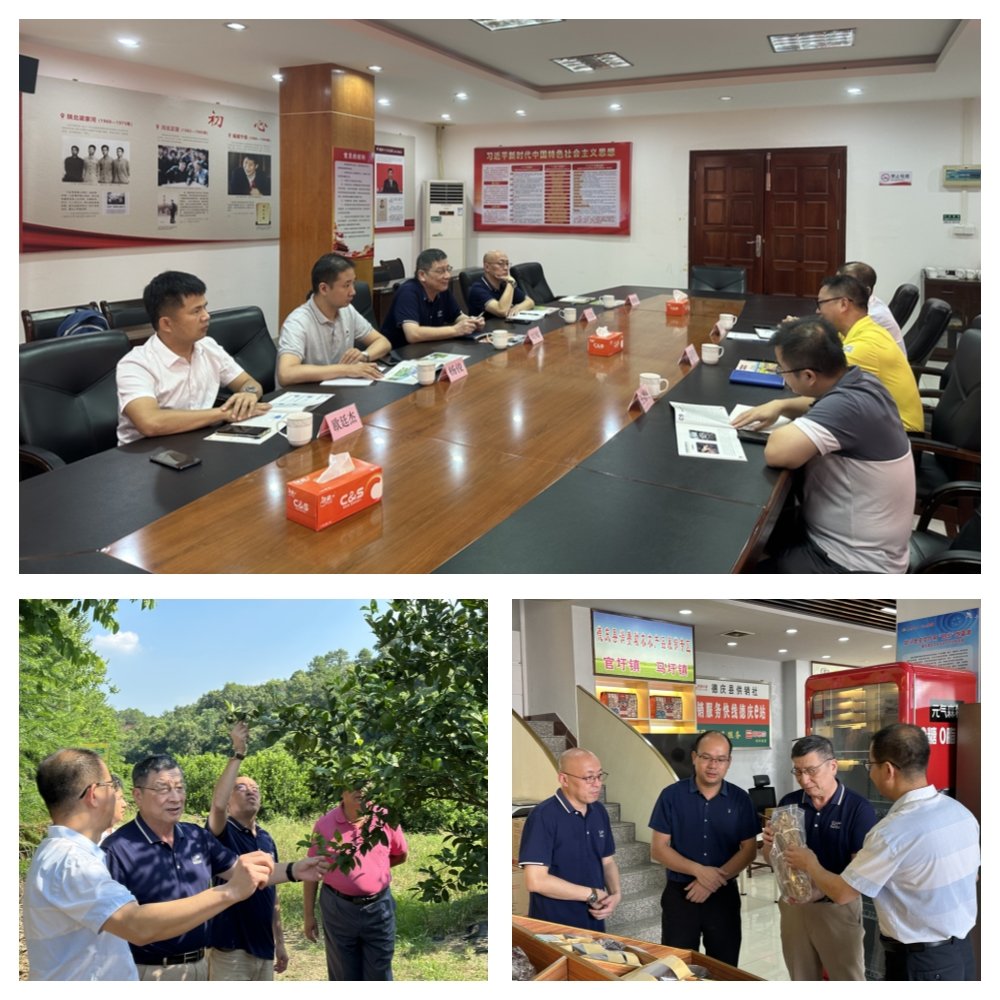 ��ҳ| CA88�����й�Ψһ�ٷ���վ