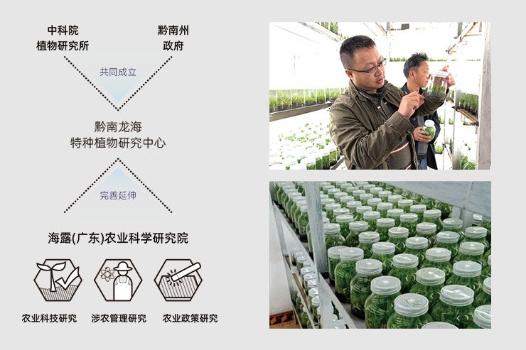 ��ҳ| CA88�����й�Ψһ�ٷ���վ